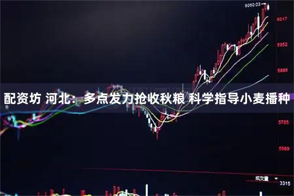 配资坊 河北：多点发力抢收秋粮 科学指导小麦播种