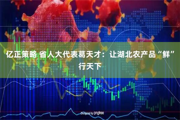 亿正策略 省人大代表葛天才：让湖北农产品“鲜”行天下